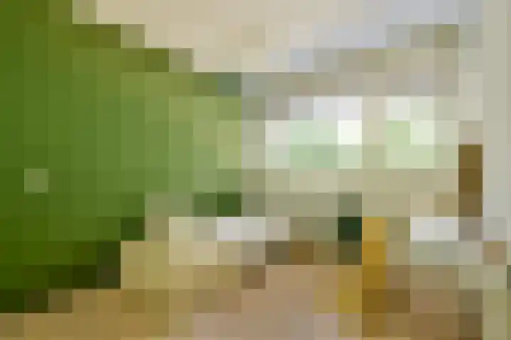 Ravenwerf 26 Amsterdam thumbnail 14
