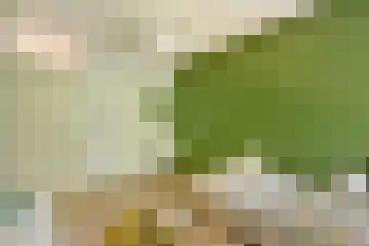 Ravenwerf 26 Amsterdam thumbnail 15