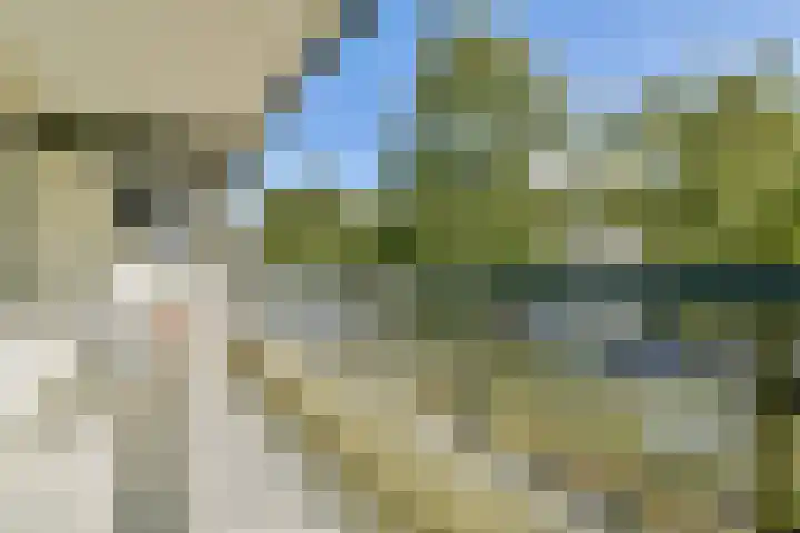 Ravenwerf 26 Amsterdam thumbnail 5