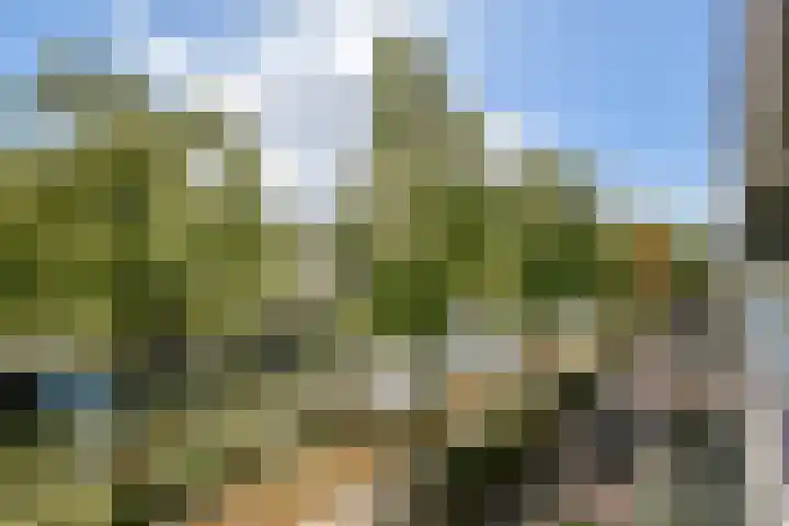 Ravenwerf 26 Amsterdam thumbnail 6