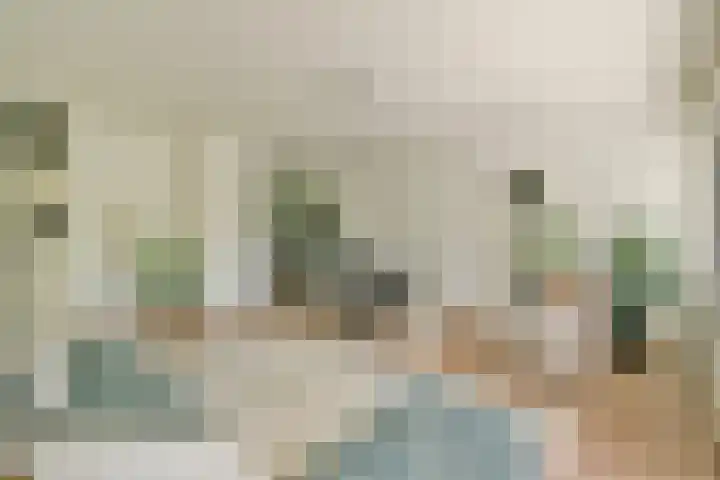 Ravenwerf 26 Amsterdam thumbnail 7
