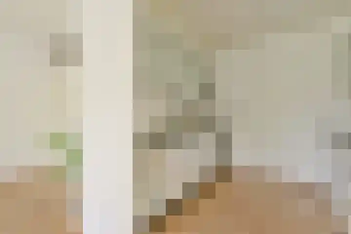 Ravenwerf 26 Amsterdam thumbnail 8