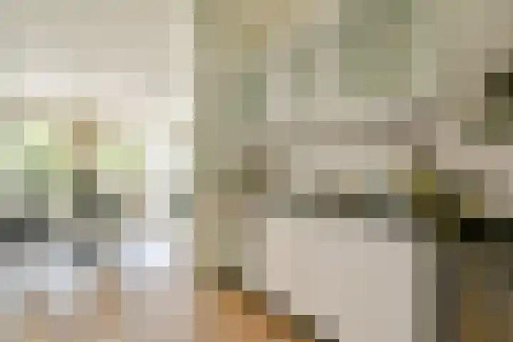 Ravenwerf 26 Amsterdam thumbnail 9