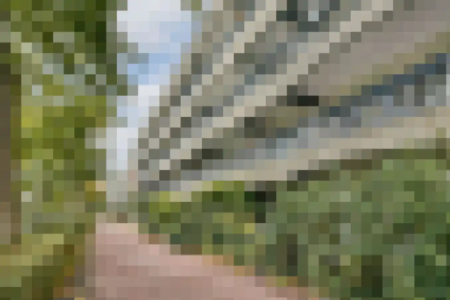 Ravenwerf 51 Amsterdam thumbnail 20