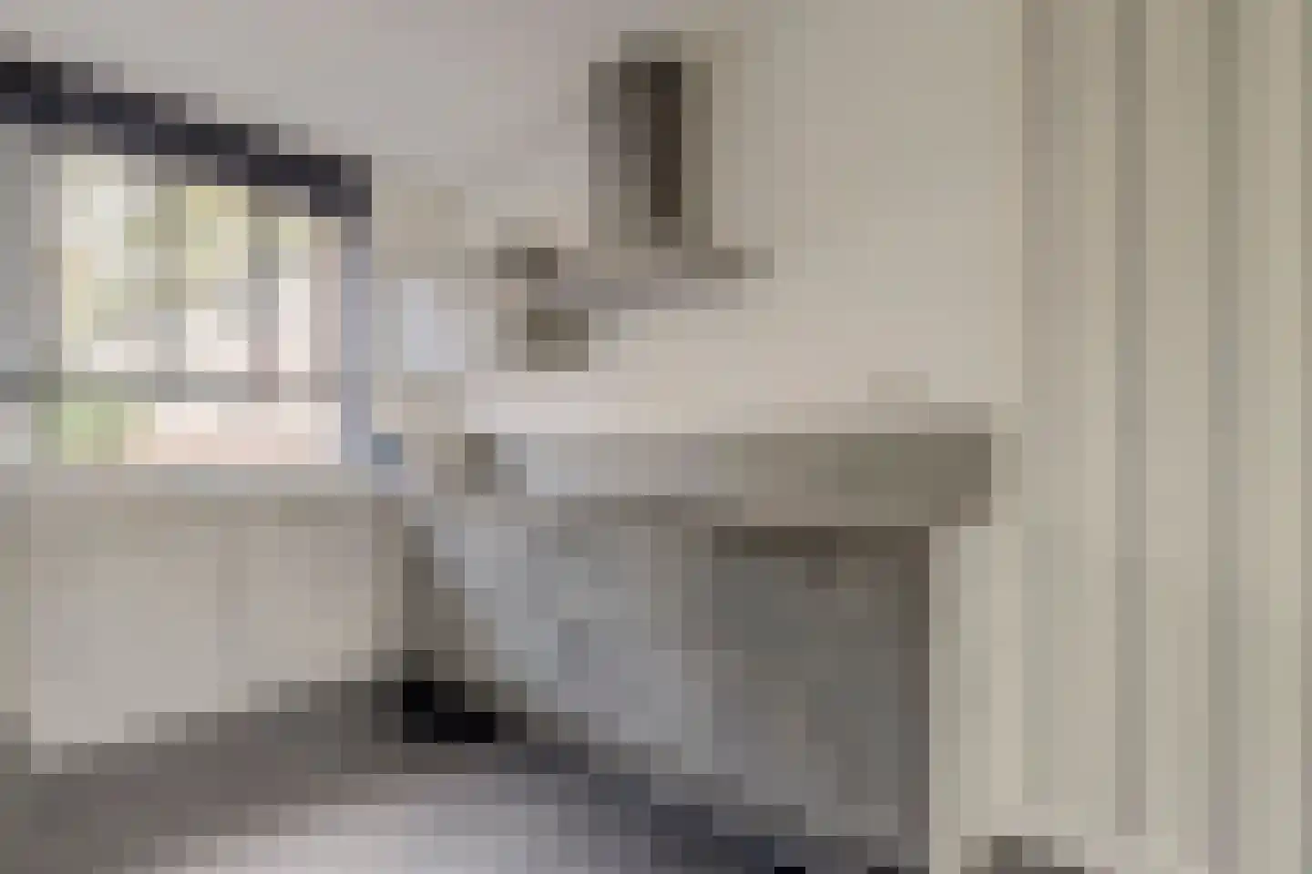 Raveslootstraat 11 Zierikzee thumbnail 11
