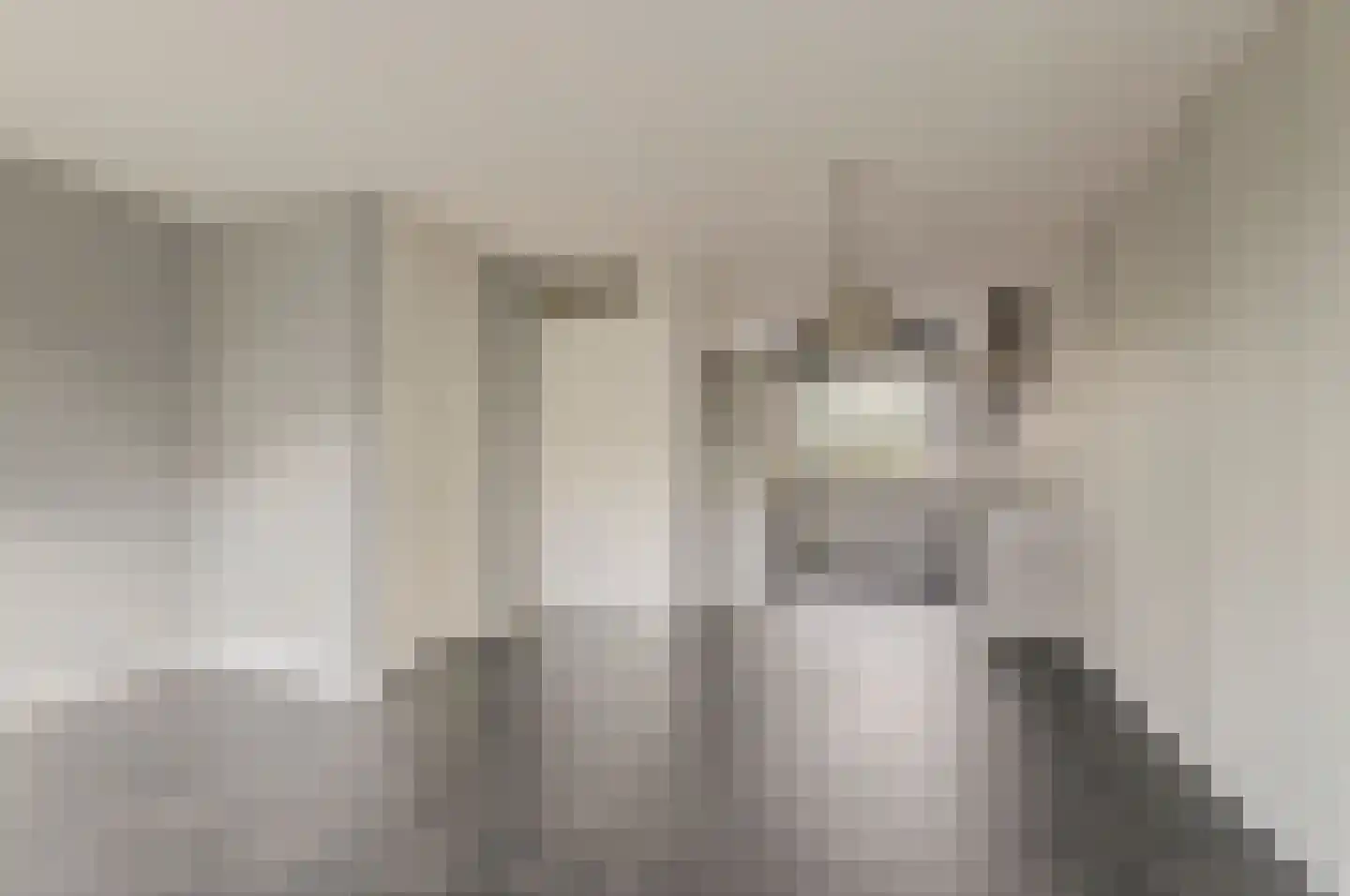 Raveslootstraat 11 Zierikzee thumbnail 8