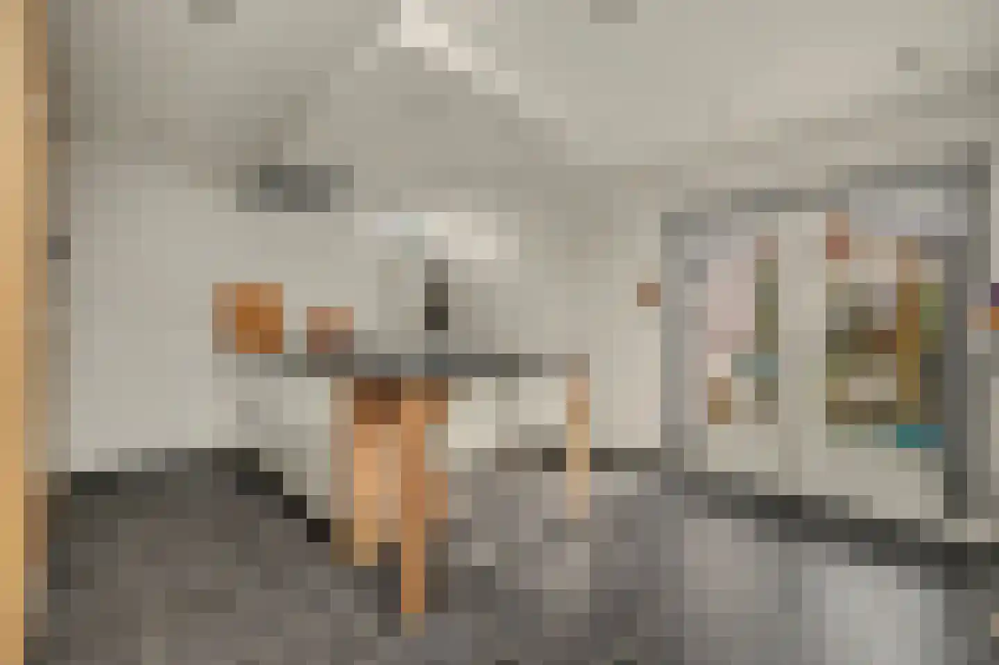 Ravestraat 15 Zierikzee thumbnail 12
