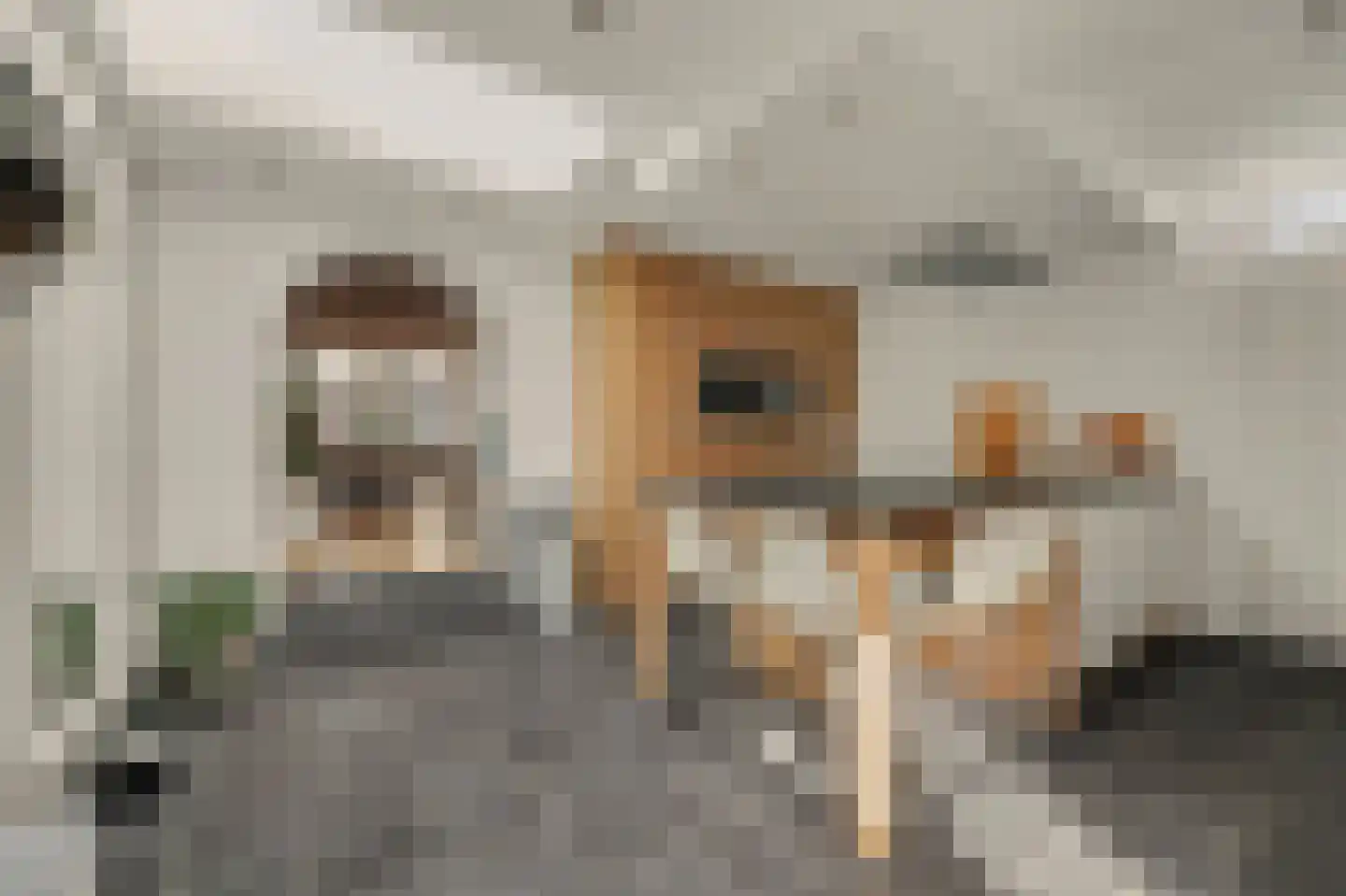 Ravestraat 15 Zierikzee thumbnail 16