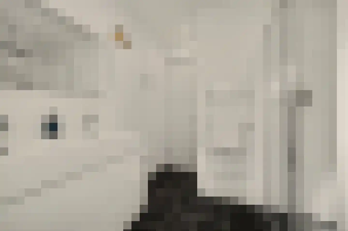 Ravestraat 15 Zierikzee thumbnail 19