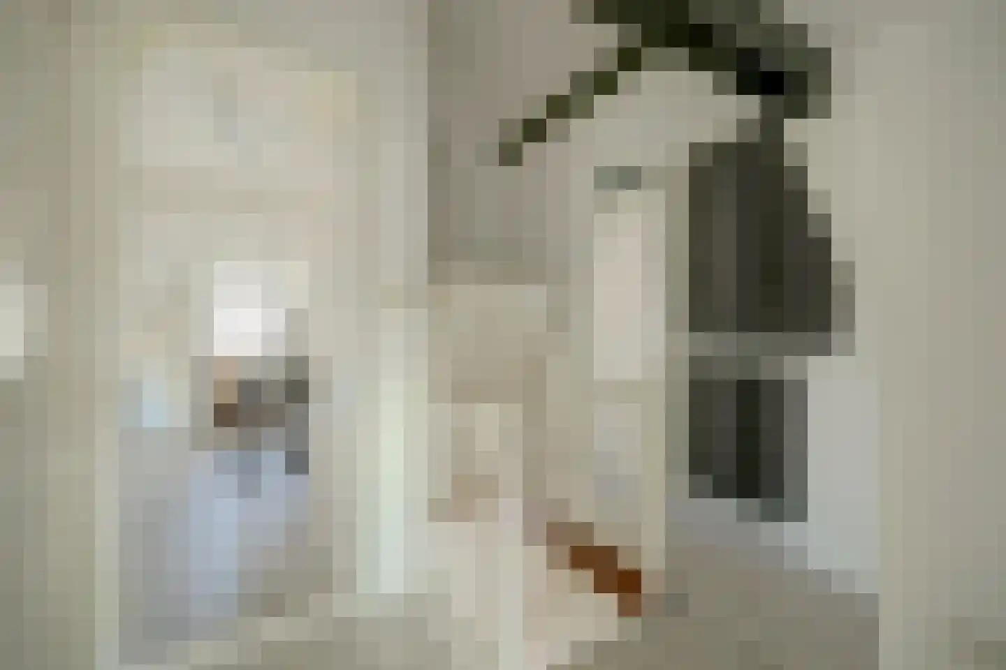 Ravestraat 15 Zierikzee thumbnail 22