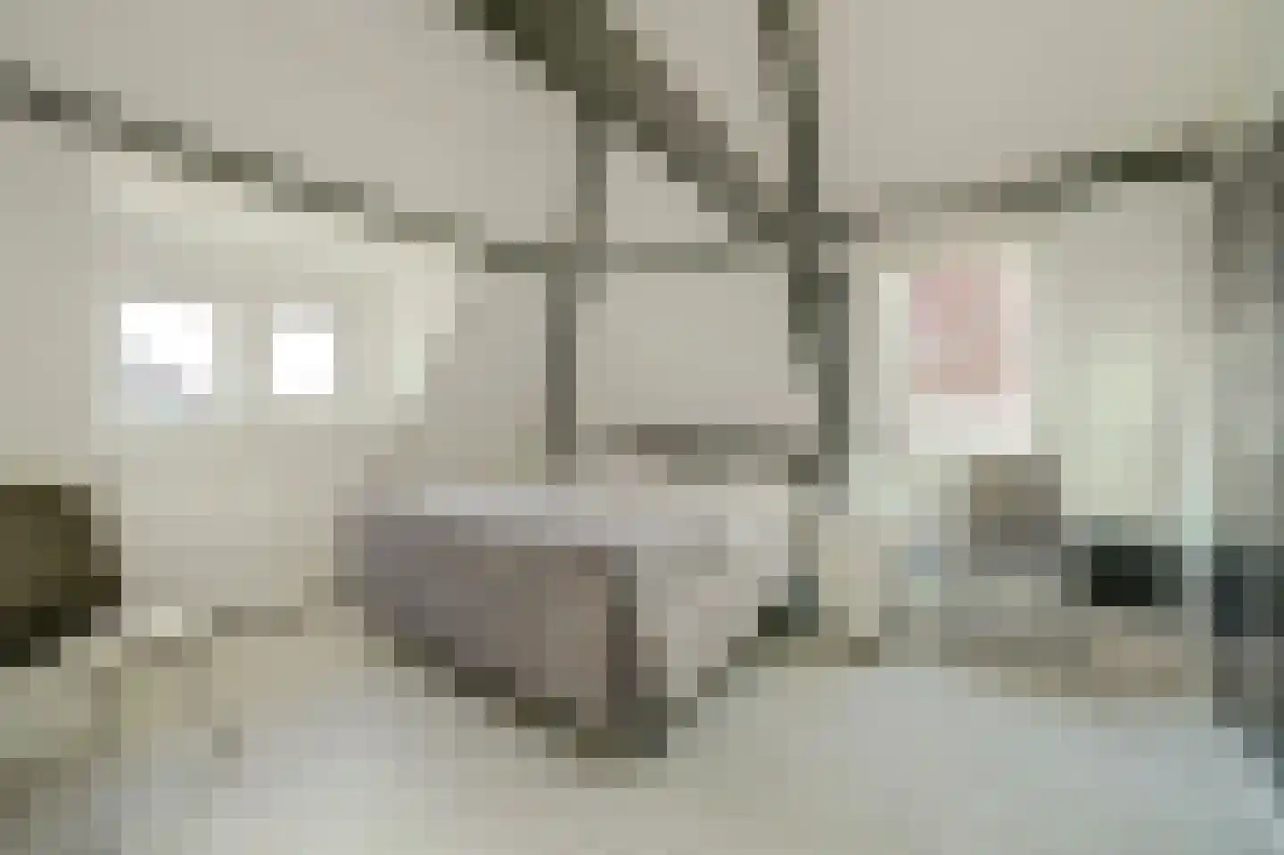Ravestraat 15 Zierikzee thumbnail 24