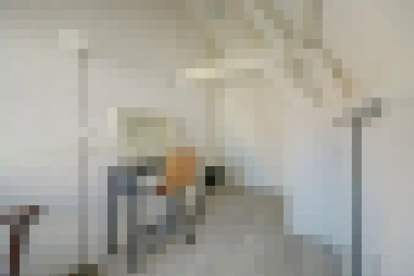 Ravestraat 15 Zierikzee thumbnail 30