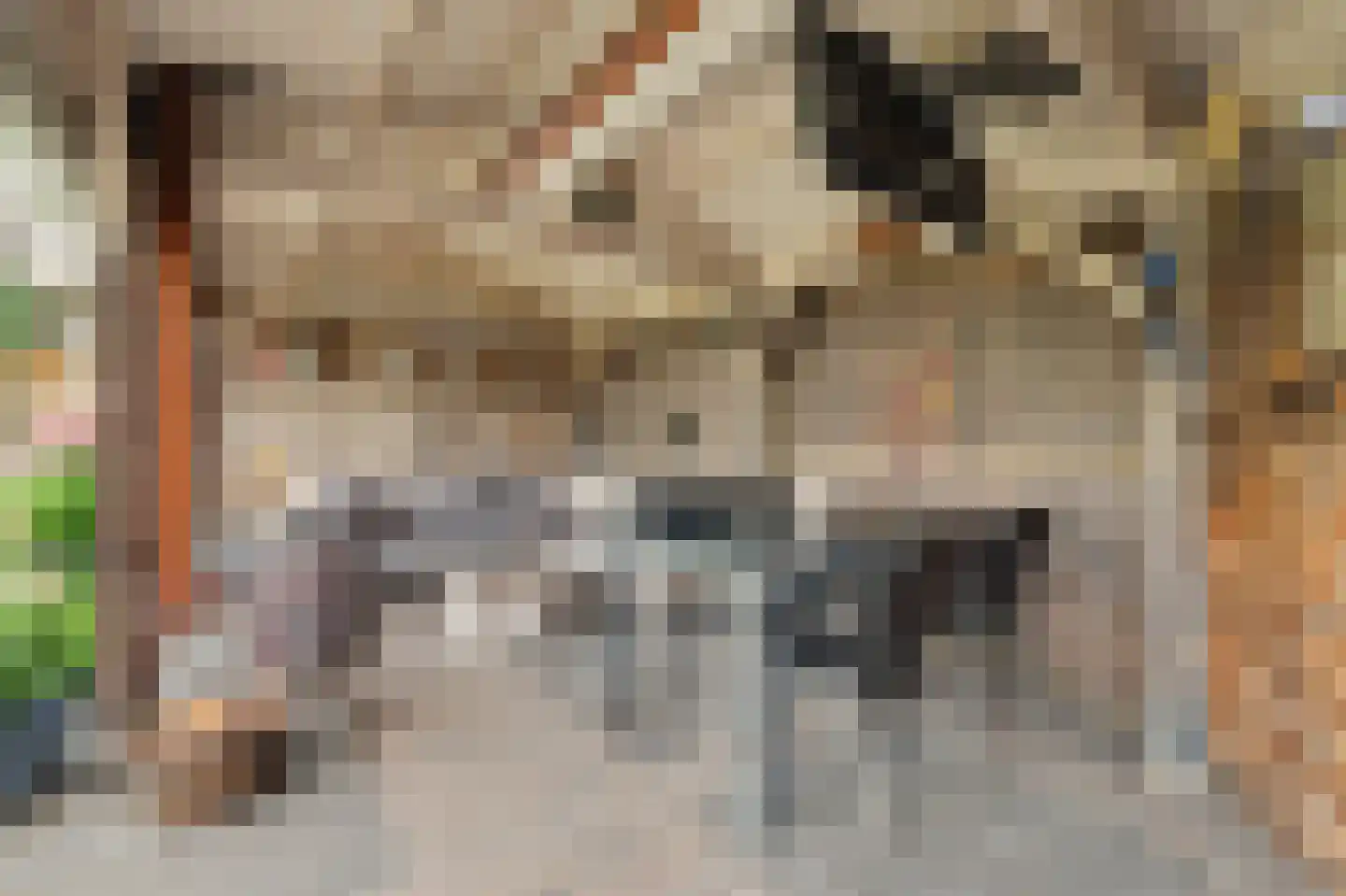 Ravestraat 15 Zierikzee thumbnail 34