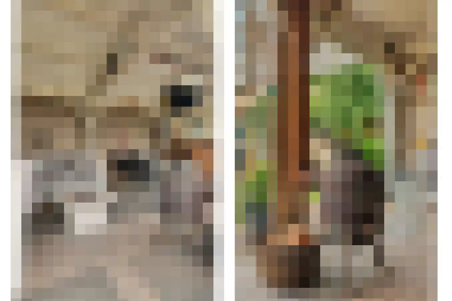 Ravestraat 15 Zierikzee thumbnail 35