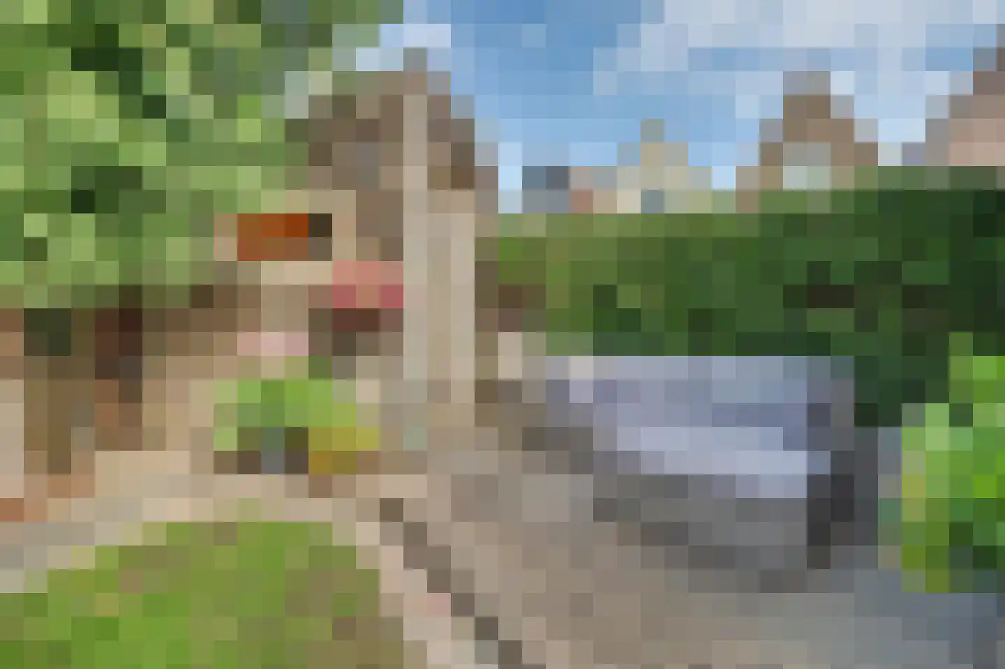 Ravestraat 15 Zierikzee thumbnail 39