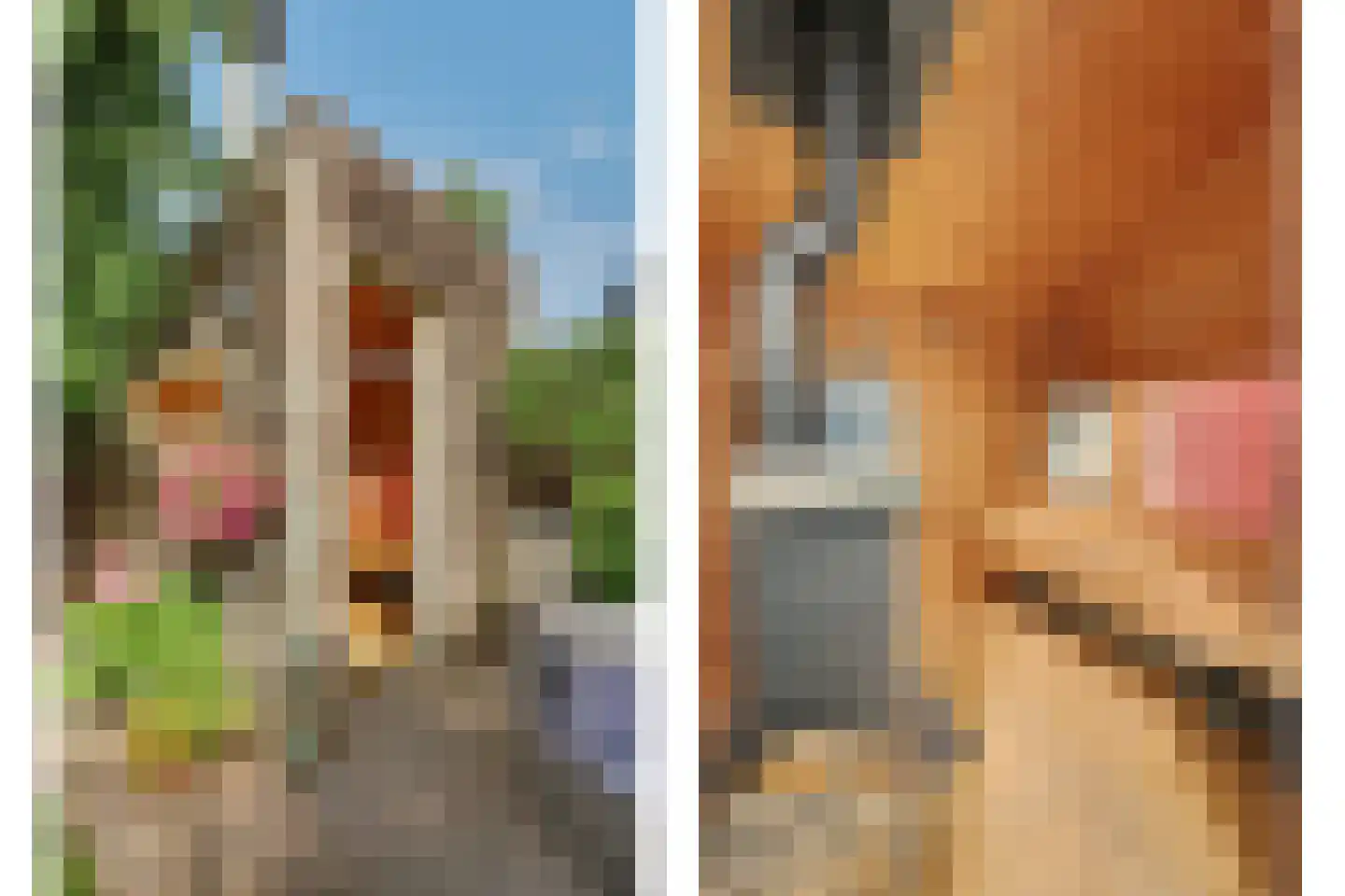 Ravestraat 15 Zierikzee thumbnail 40