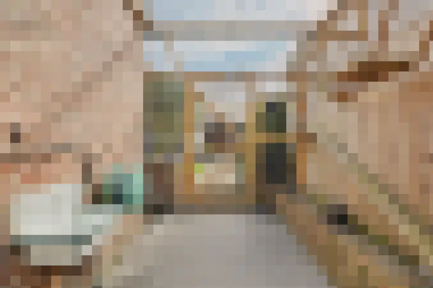 Ravestraat 15 Zierikzee thumbnail 43