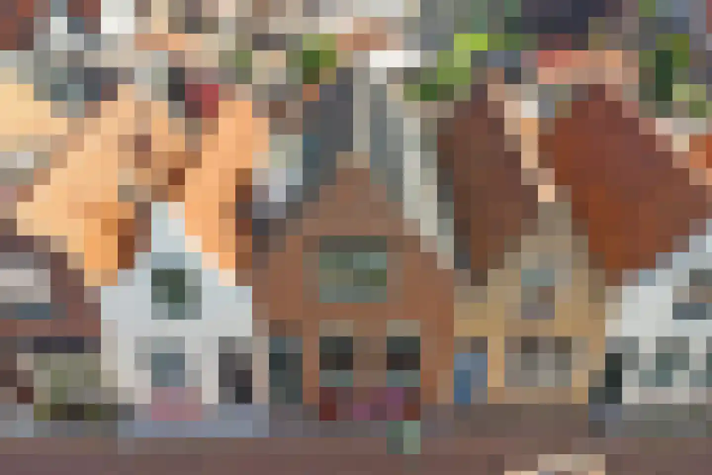 Ravestraat 15 Zierikzee thumbnail 53
