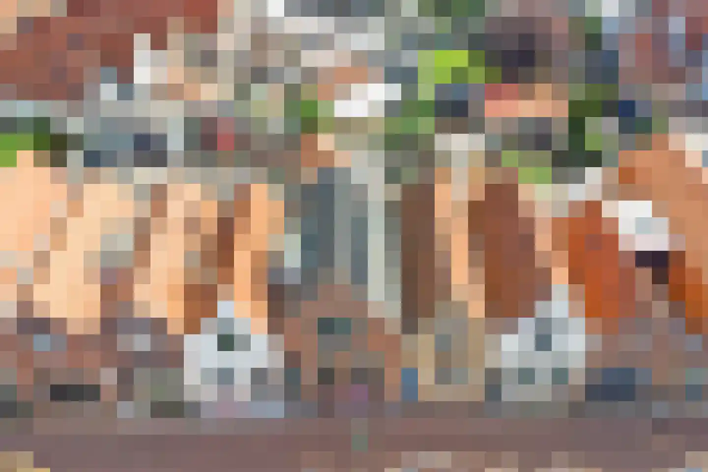Ravestraat 15 Zierikzee thumbnail 54