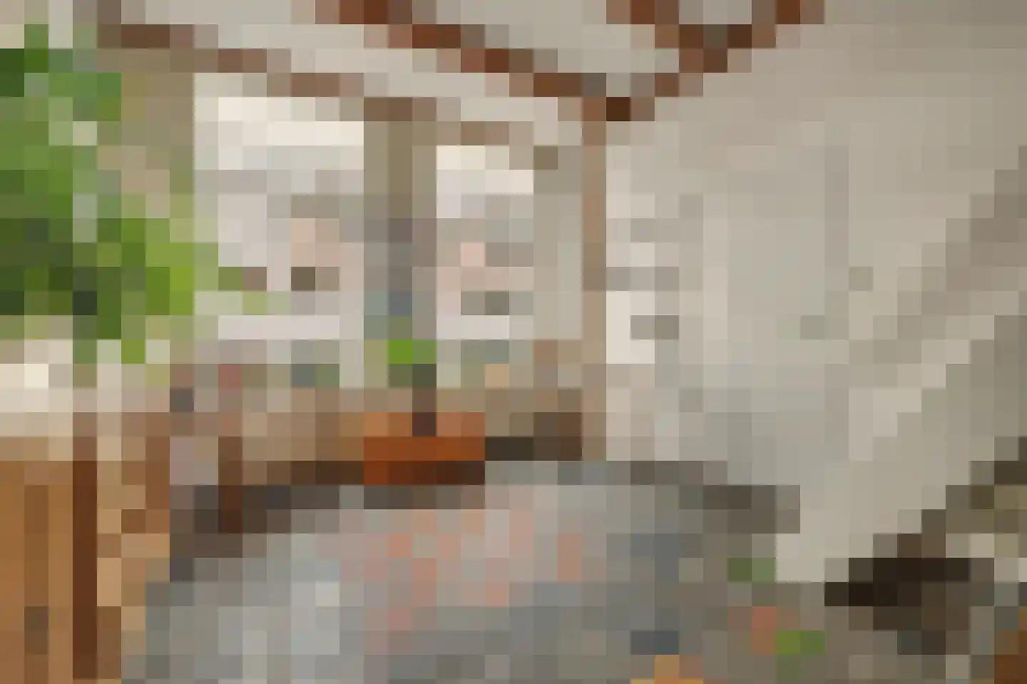 Ravestraat 15 Zierikzee thumbnail 6