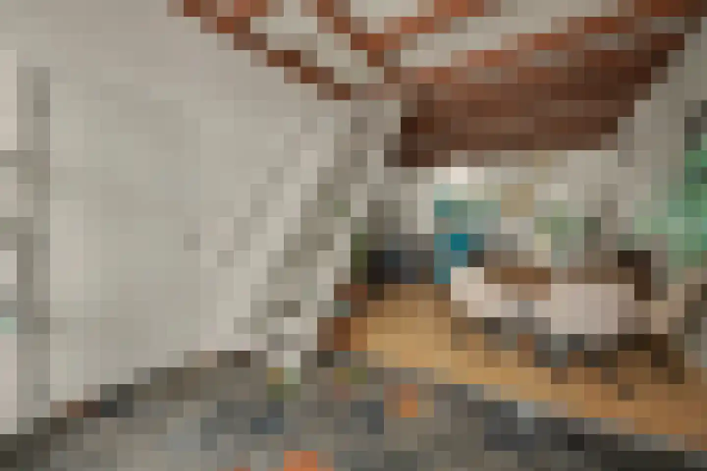 Ravestraat 15 Zierikzee thumbnail 7