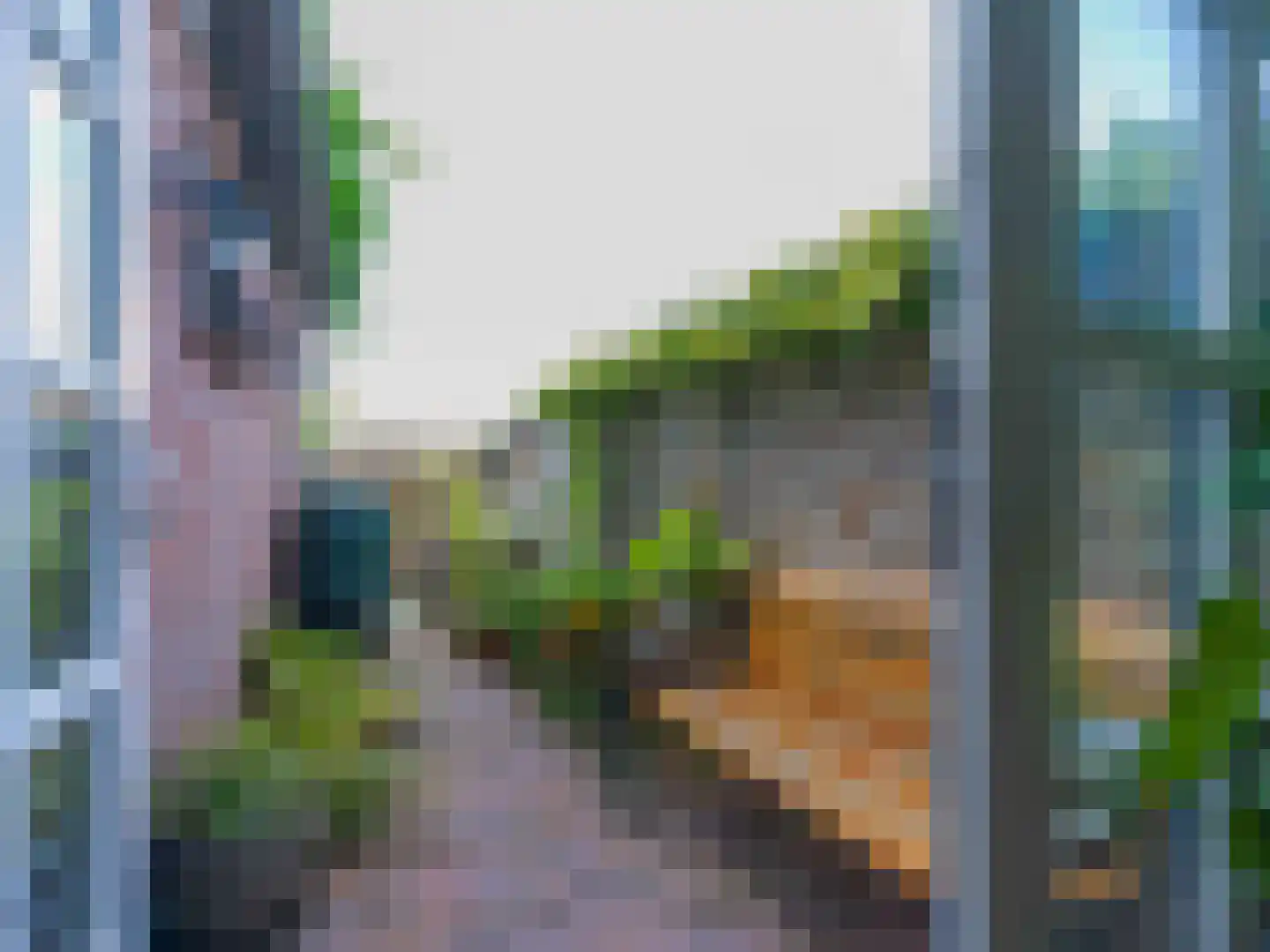 Ravestraat 26 Zierikzee thumbnail 19