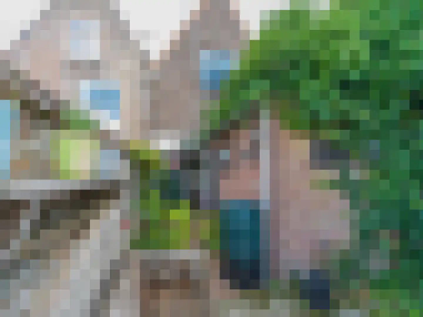 Ravestraat 26 Zierikzee thumbnail 21