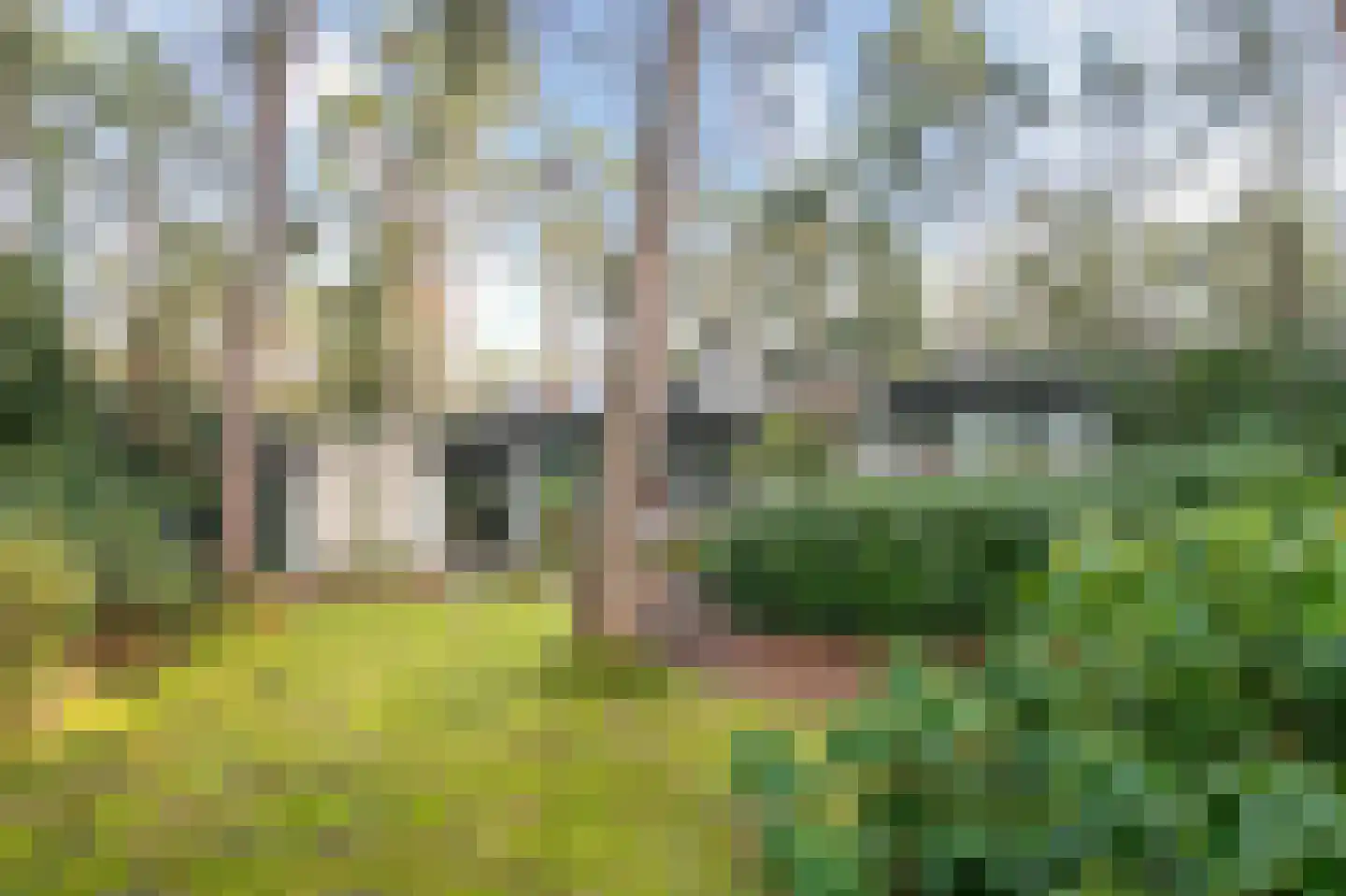 Ravetsmaar 13 Landgraaf thumbnail 28