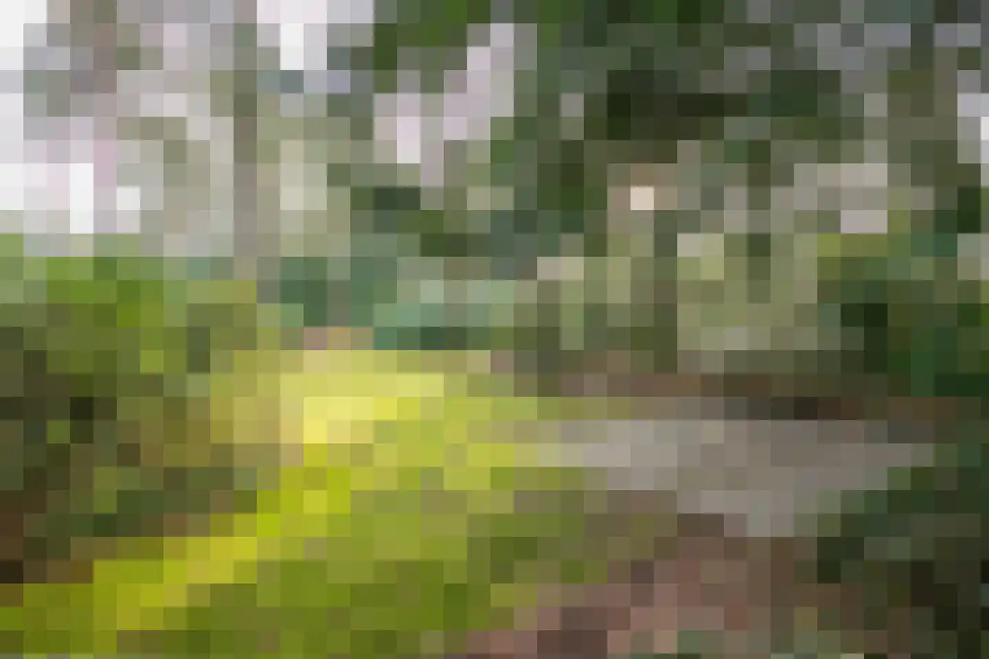 Ravetsmaar 13 Landgraaf thumbnail 29