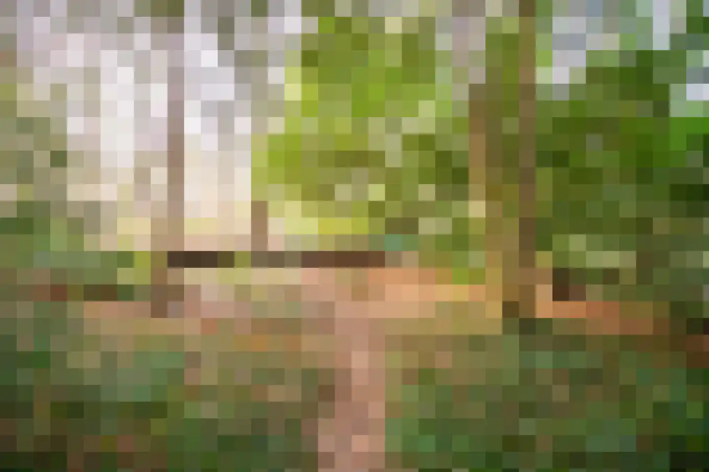 Ravetsmaar 13 Landgraaf thumbnail 30
