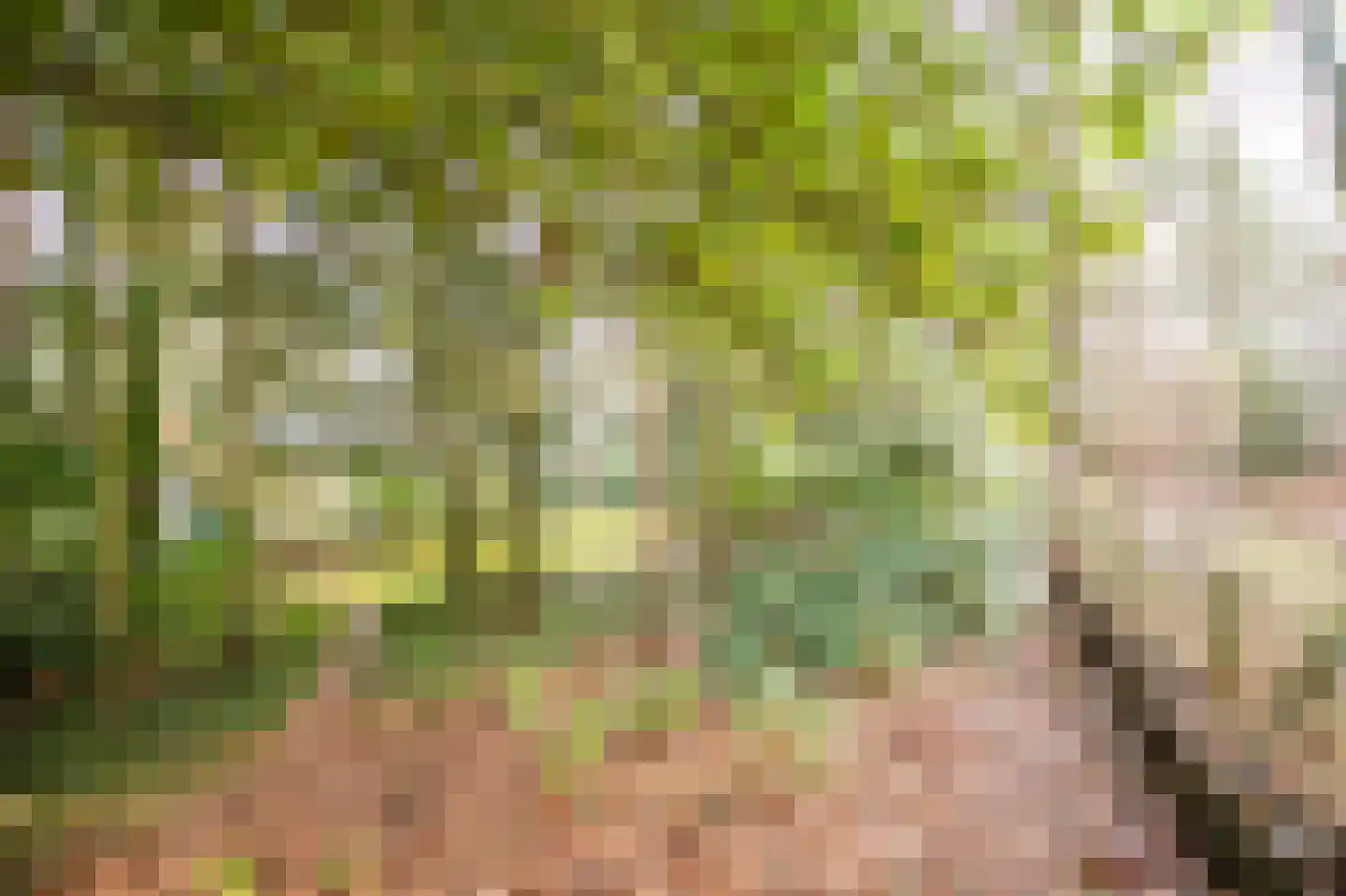 Ravetsmaar 13 Landgraaf thumbnail 31