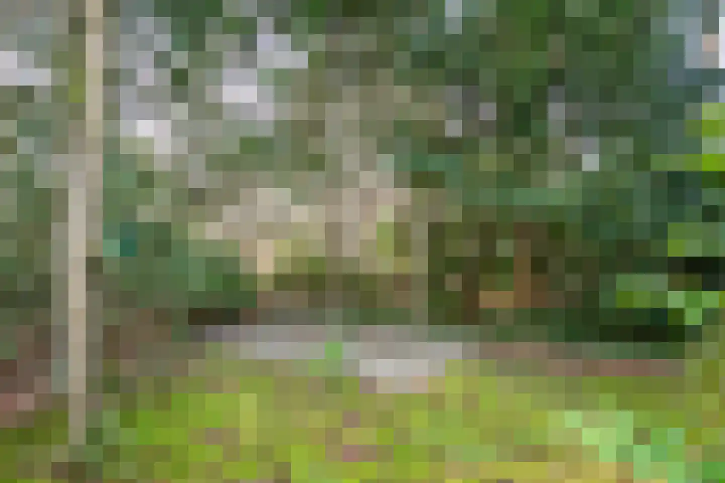 Ravetsmaar 13 Landgraaf thumbnail 32