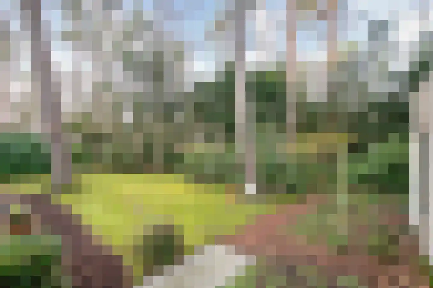 Ravetsmaar 13 Landgraaf thumbnail 34