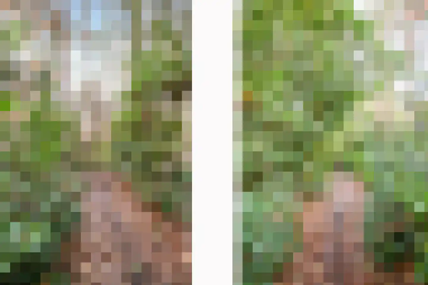 Ravetsmaar 13 Landgraaf thumbnail 35