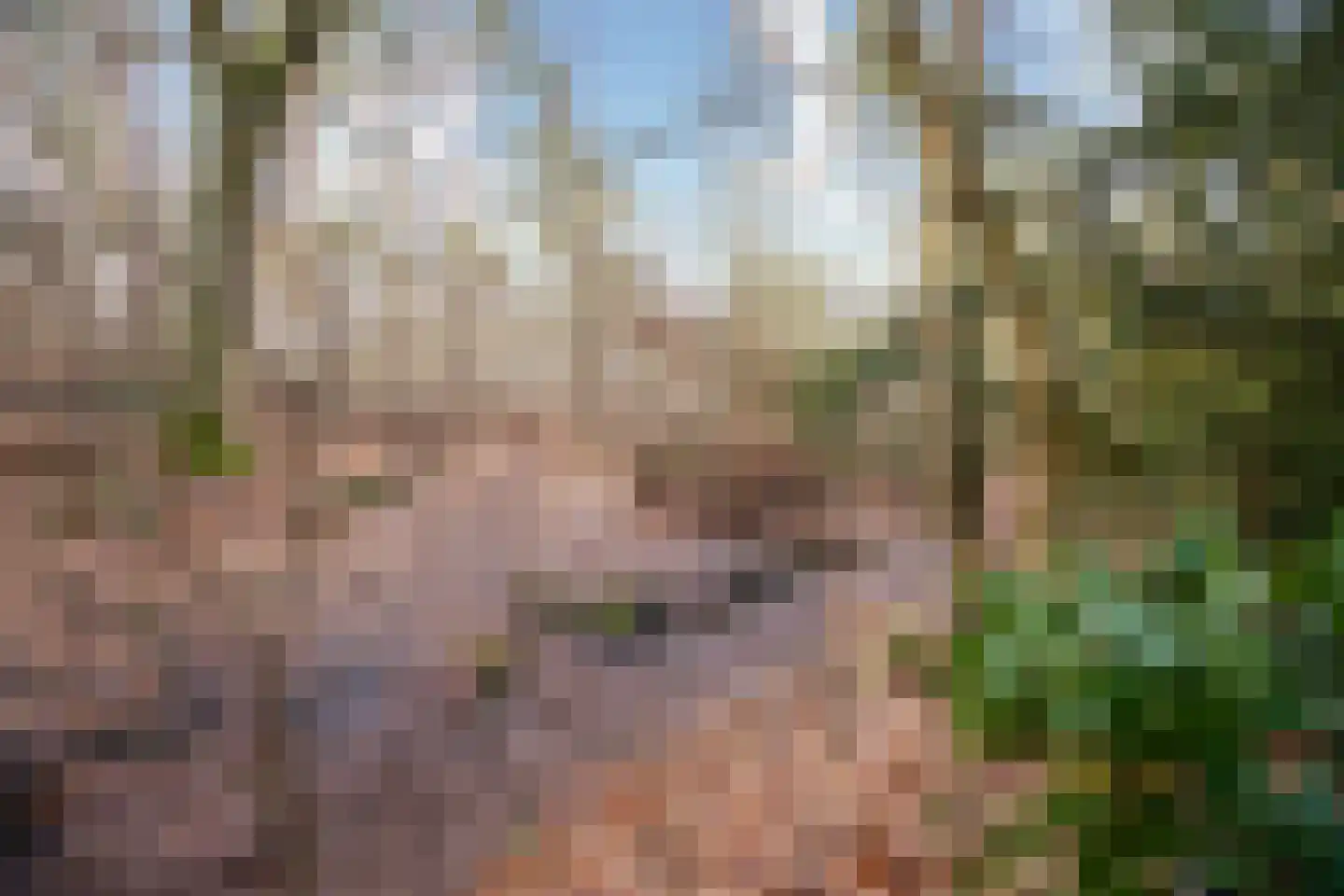 Ravetsmaar 13 Landgraaf thumbnail 36