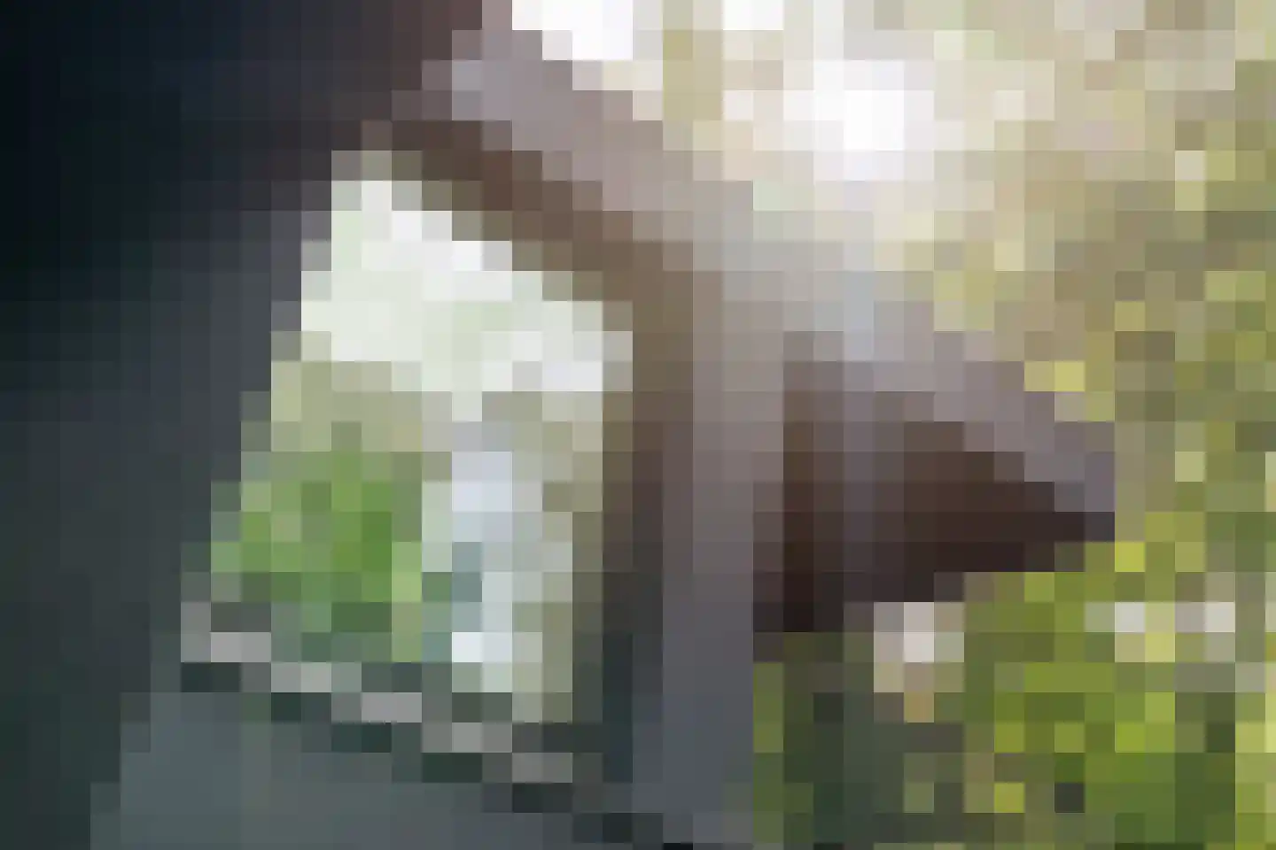Ravetsmaar 17 A Landgraaf thumbnail 19