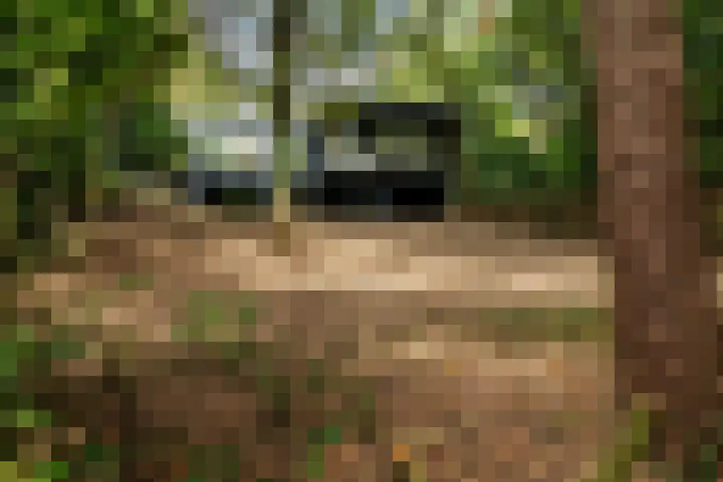 Ravetsmaar 17 A Landgraaf thumbnail 24