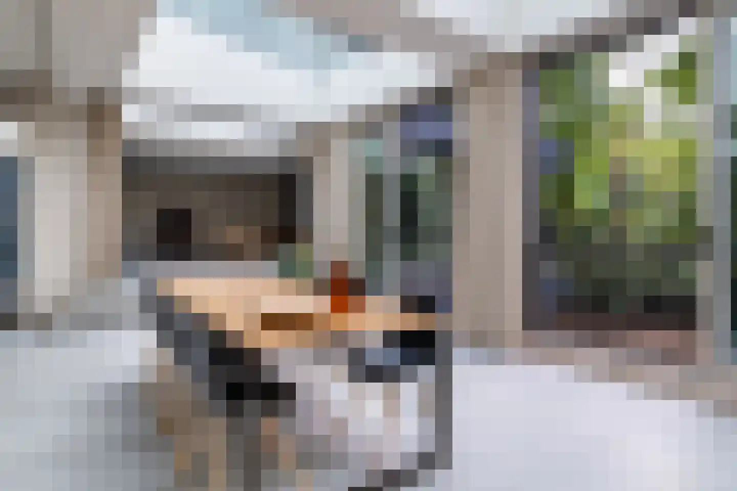 Ravetsmaar 17 A Landgraaf thumbnail 7