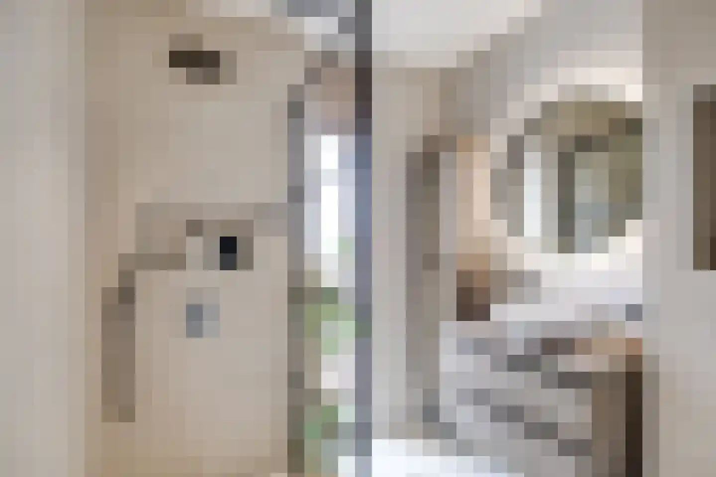 Ray Conniffpad 8 Utrecht thumbnail 35