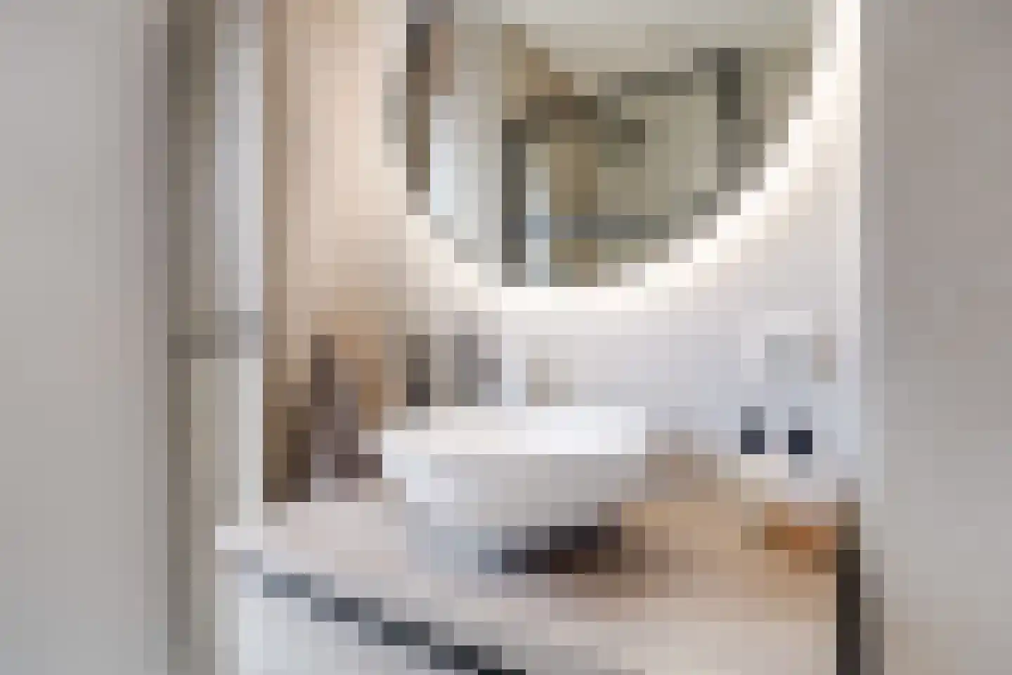 Ray Conniffpad 8 Utrecht thumbnail 37