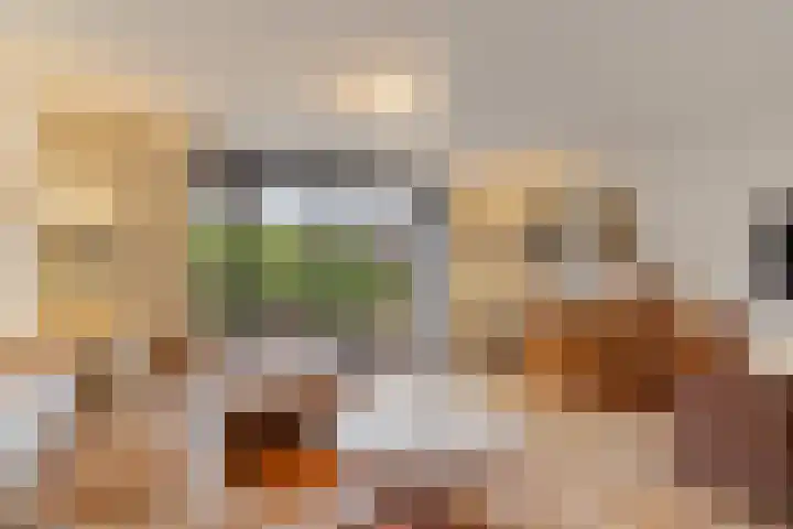 Raymond Brulezpad 1 Rotterdam thumbnail 10