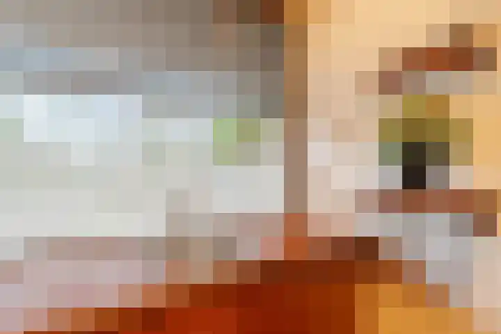 Raymond Brulezpad 1 Rotterdam thumbnail 15