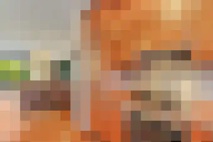 Raymond Brulezpad 1 Rotterdam thumbnail 16