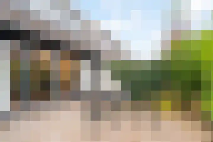 Raymond Brulezpad 1 Rotterdam thumbnail 30