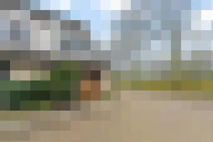 Raymond Brulezpad 1 Rotterdam thumbnail 34