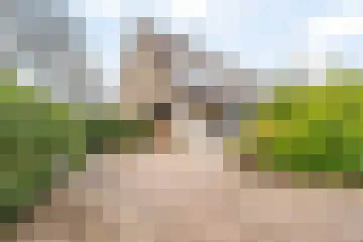 Raymond Brulezpad 1 Rotterdam thumbnail 6