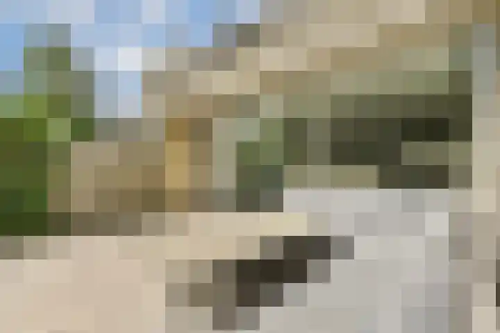 Razeil 32 Almere thumbnail 14