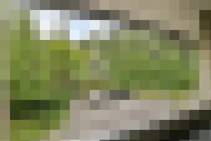 Razeil 32 Almere thumbnail 19