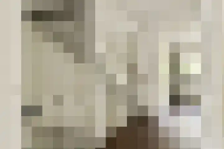 Razeil 32 Almere thumbnail 25