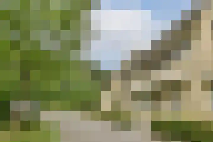 Razeil 32 Almere thumbnail 30